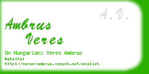 ambrus veres business card